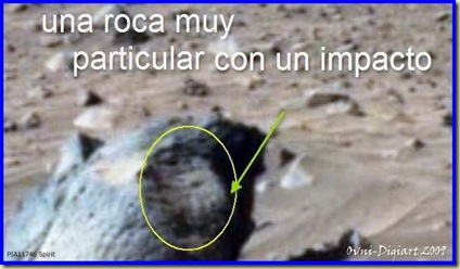 impacto y animal_5 impacto y animal_5